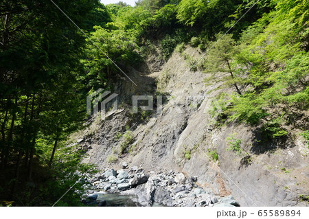 フォッサマグナ 山梨県早川町 新倉の糸魚川静岡構造線 フォッサマグナ 山梨県早川町 新倉の糸魚川静岡構造線 65589894