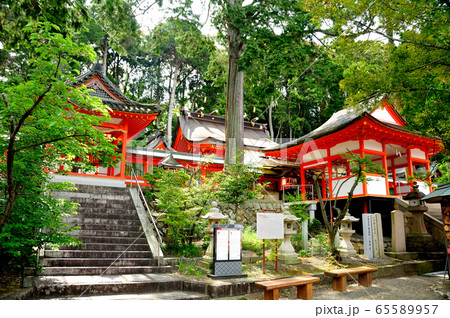 広八幡神社　本殿　拝殿 65589957