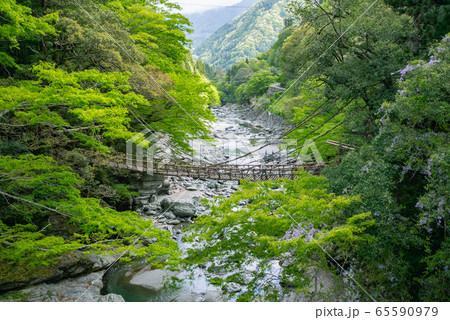 徳島県 三好市 祖谷のかずら橋 徳島県 三好市 祖谷のかずら橋 65590979