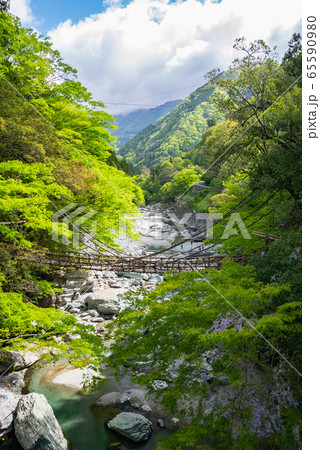 徳島県 三好市 祖谷のかずら橋 徳島県 三好市 祖谷のかずら橋 65590980