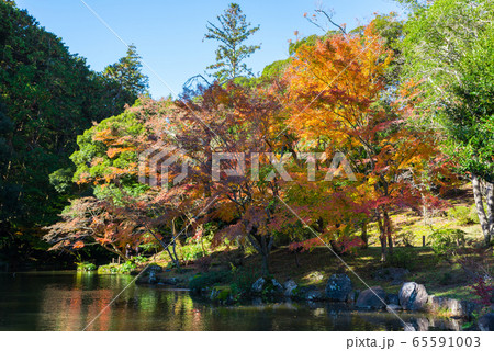 成田山公園の紅葉 秋 (千葉県成田市) 2019年11月 成田山公園の紅葉 秋 (千葉県成田市) 2019年11月 65591003