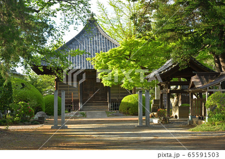 薬王寺 真言宗智山派:薬師堂 薬王寺 真言宗智山派:薬師堂 65591503