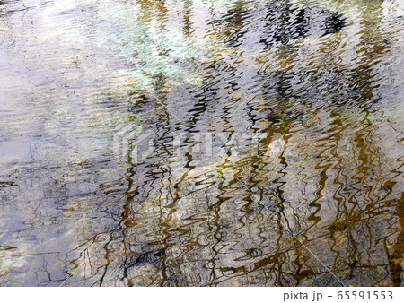 大正池に写りこんだ樹々 65591553