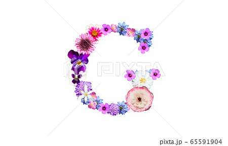 花で装飾されたアルファベットのg 花文字 花フォント の写真素材