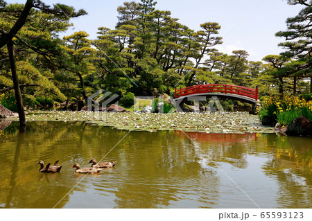 回遊式庭園 65593123