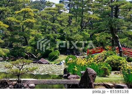 回遊式庭園 65593136