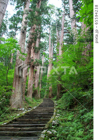 山形県 夏 羽黒山 参道 山形県 夏 羽黒山 参道 65594238