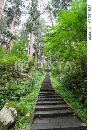 山形県 夏 羽黒山 参道 山形県 夏 羽黒山 参道 65594682