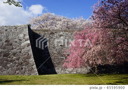 春の盛岡城跡公園 65595900