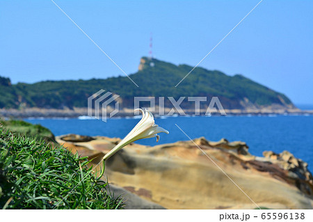 海岸線 ラクダ岩 らくだ岩 65596138