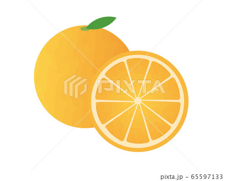 オレンジのイラスト素材