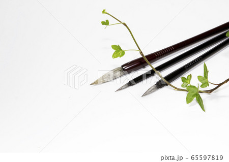 葉 白 白色 65597819