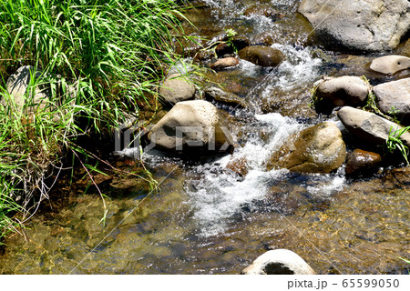 小川　ほたるの里　旧うきは市立小塩小学校前の小川 65599050