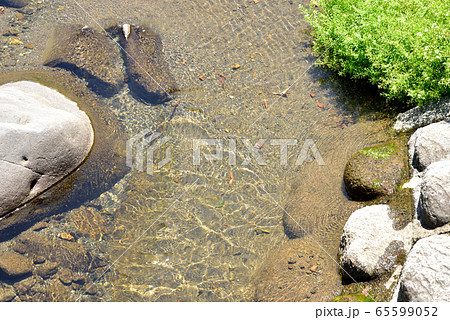 小川　ほたるの里　旧うきは市立小塩小学校の小川 65599052