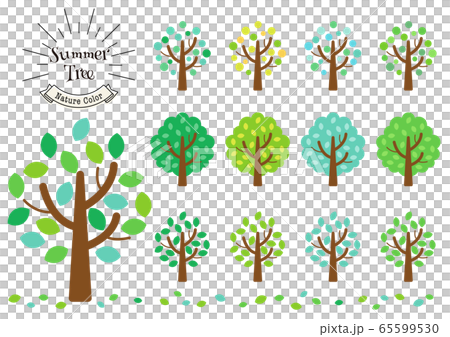 Tree_summer Tree_summer 65599530
