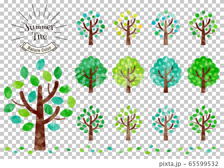 Tree_summer_watercolor Tree_summer_watercolor 65599532