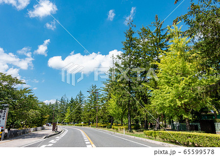 開成山公園 国道49号 ドライブ 青空 夏 開成山公園 国道49号 ドライブ 青空 夏 65599578