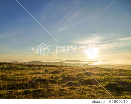 【長野県 美ヶ原】朝の夏風景 65600130