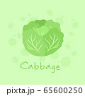 Vegetable Cabbage vector illustration 65600250