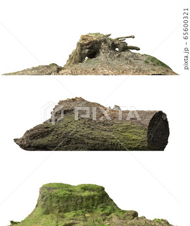Stump dead tree isolated on white 3d illustration 65600321
