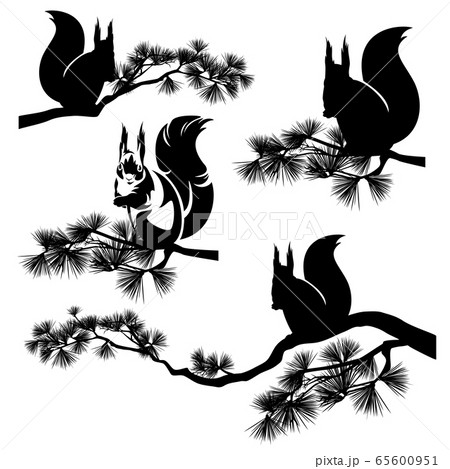squirrel on pine tree branch black vector silhouette set squirrel on pine tree branch black vector silhouette set 65600951