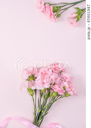 カーネーション ハマナデシコ 花 65601987