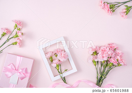 カーネーション ハマナデシコ 花 65601988