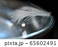 表面張力 65602491