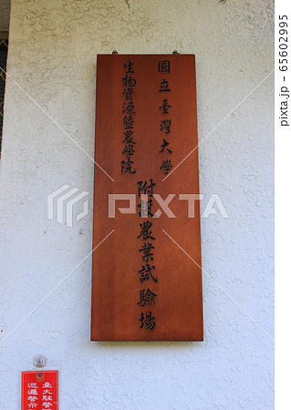 台湾大学農業試験場 台湾大学農業試験場 65602995