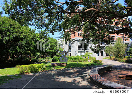 台湾大学キャンパス 台湾大学キャンパス 65603007