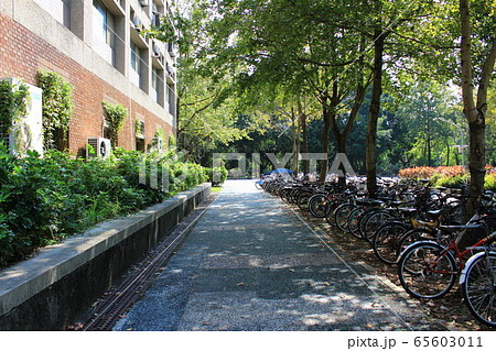 台湾大学キャンパス 台湾大学キャンパス 65603011