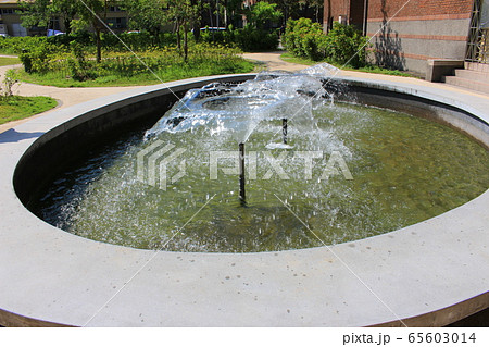 台湾大学キャンパス 台湾大学キャンパス 65603014