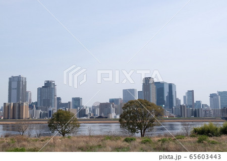 淀川河岸敷きと対岸風景 淀川河岸敷きと対岸風景 65603443