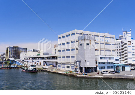 横浜市中央卸売市場　本場 65605146
