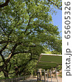新緑 65605326