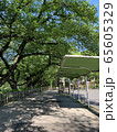 新緑 65605329