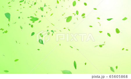 緑 グリーン エコロジー 風 舞う 葉 3D イラスト CG 背景 バックグラウンド 65605868