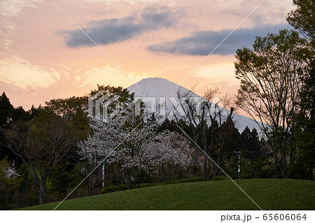静岡県 足柄サービスエリアからの夕暮れの富士山 静岡県 足柄サービスエリアからの夕暮れの富士山 65606064