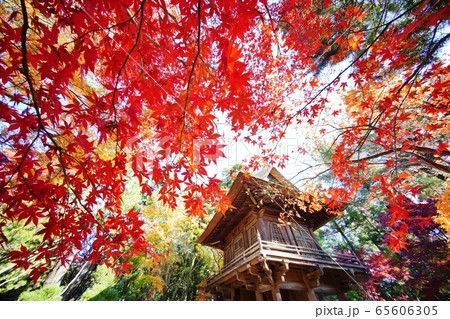 平林寺の紅葉の写真素材