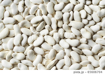 大福豆 大福豆 65606704