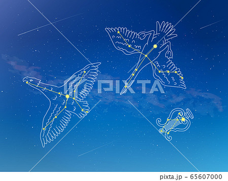 夏の大三角 星座のイラスト 65607000