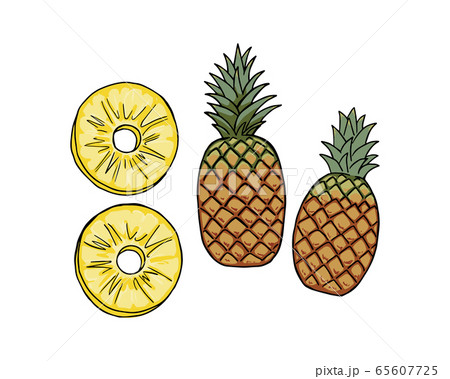 パイナップルのイラスト素材