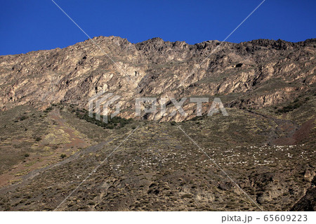 天山の峡谷を歩く山羊の群れ。独庫公路。2019/8/30 65609223