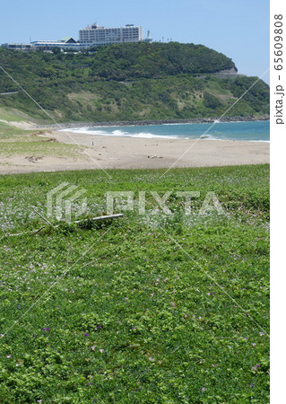 恋路が浜からホテルを望む 65609808