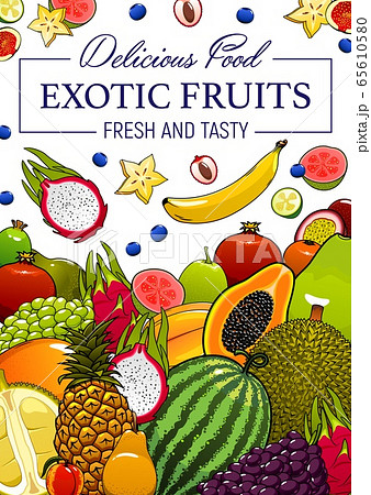 Exotic tropical fruits cartoon vector poster Exotic tropical fruits cartoon vector poster 65610580