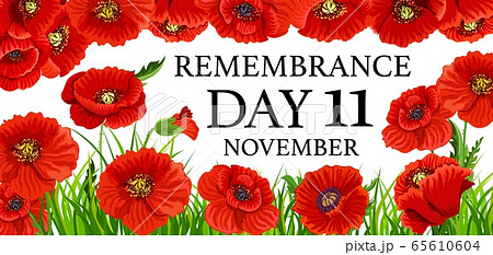 11 November remembrance day poppy flowers 65610604