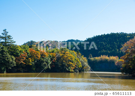 亀山湖畔の紅葉風景 秋 （千葉県君津市 笹地区湖畔公園） 2019年11月撮影 65611113