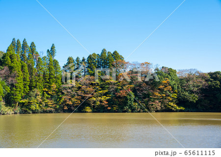亀山湖畔の紅葉風景 秋 （千葉県君津市 笹地区湖畔公園） 2019年11月撮影 65611115