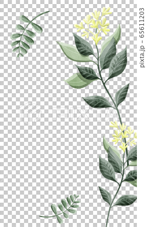 Plant layout frame - Stock Illustration [65611203] - PIXTA