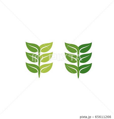 simple green leaf branch logo and vector icon simple green leaf branch logo and vector icon 65611266